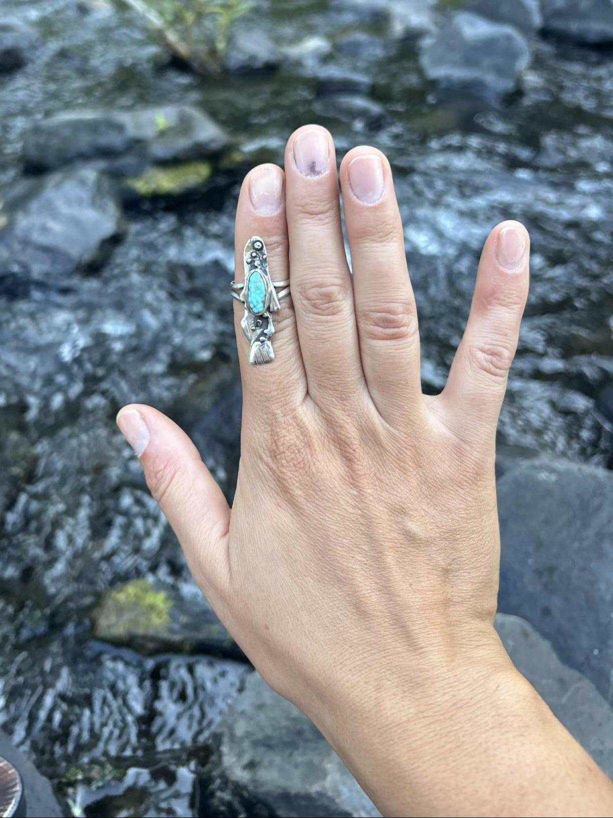 Fish Ring Size 9