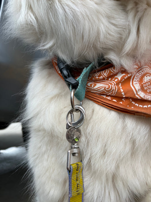 Buffalo Nickel Dog Tags